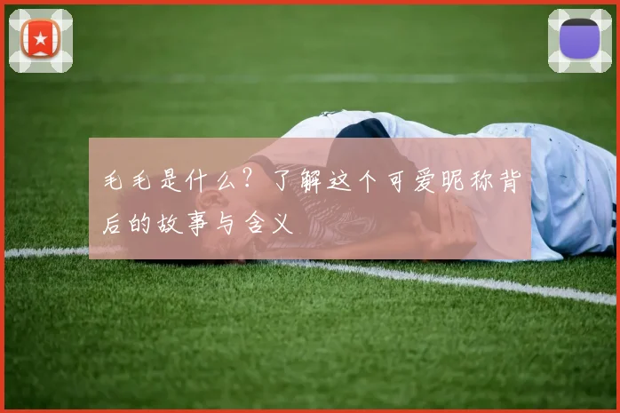 毛毛是什么？了解这个可爱昵称背后的故事与含义
