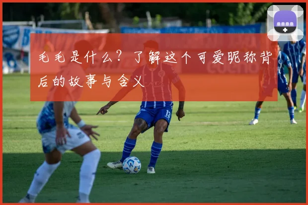 毛毛是什么？了解这个可爱昵称背后的故事与含义